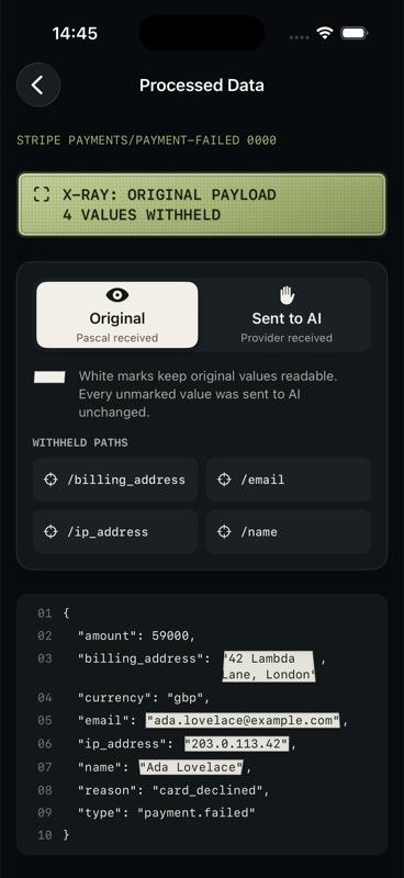 Payload audit showing original JSON and four values withheld from AI
