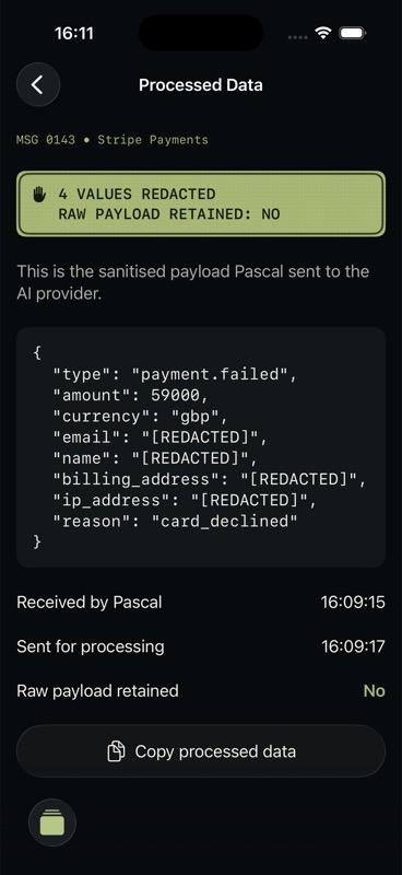 Processed JSON with sensitive fields visibly redacted